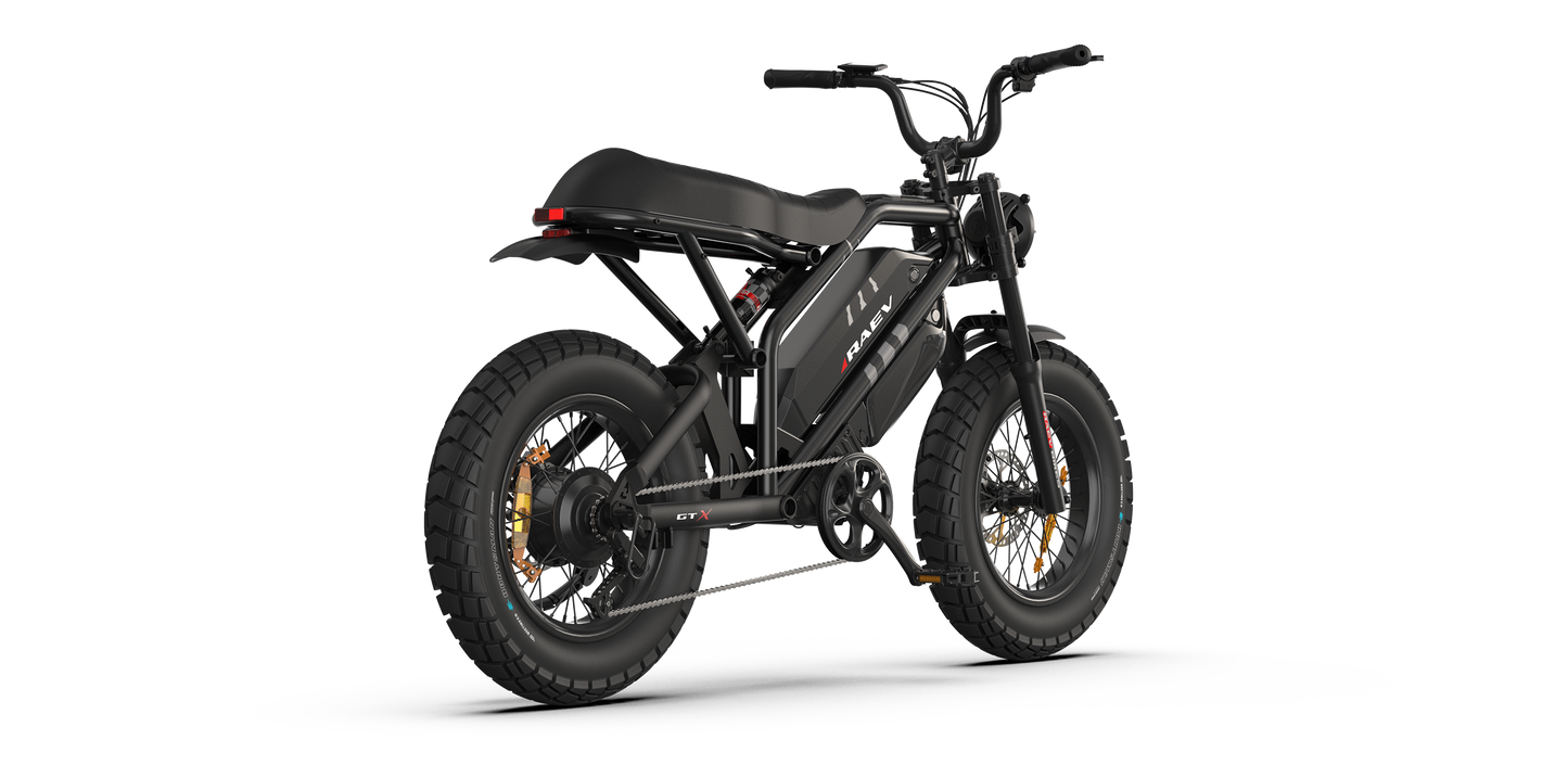 RAEV Bullet GTX Electric Bicycle