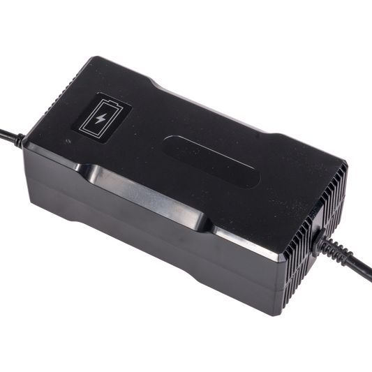 48V (54.6V max) 5A Charger