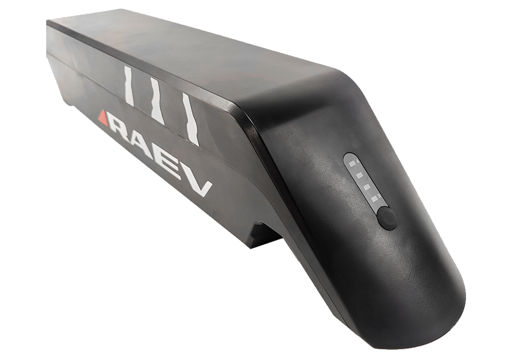 RAEV 48V20Ah Battery