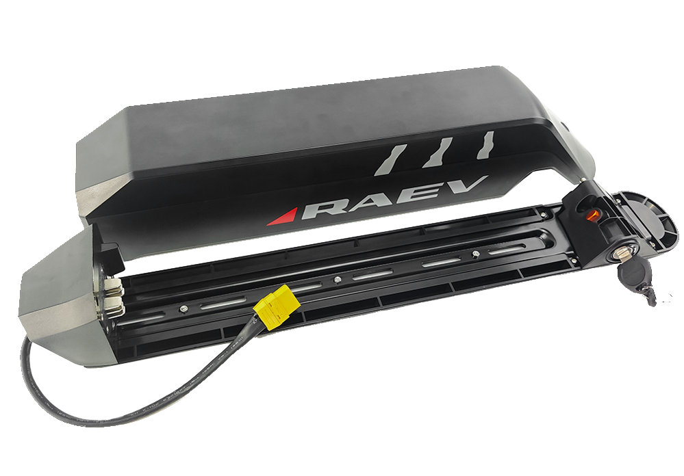 RAEV 48V20Ah Battery