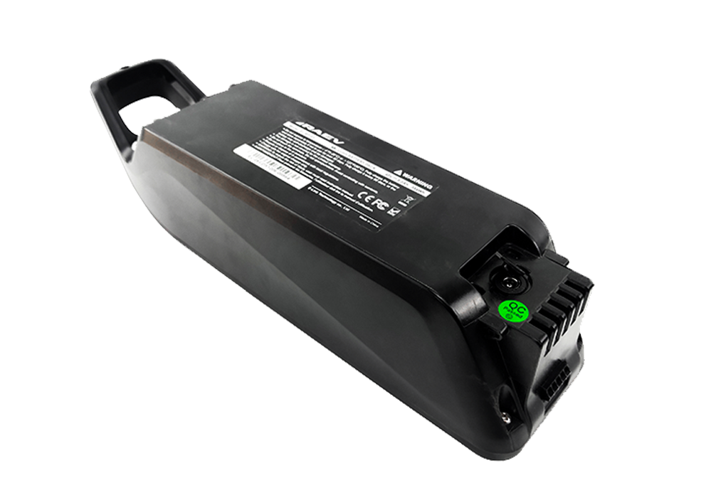 RAEV 48V8Ah Battery