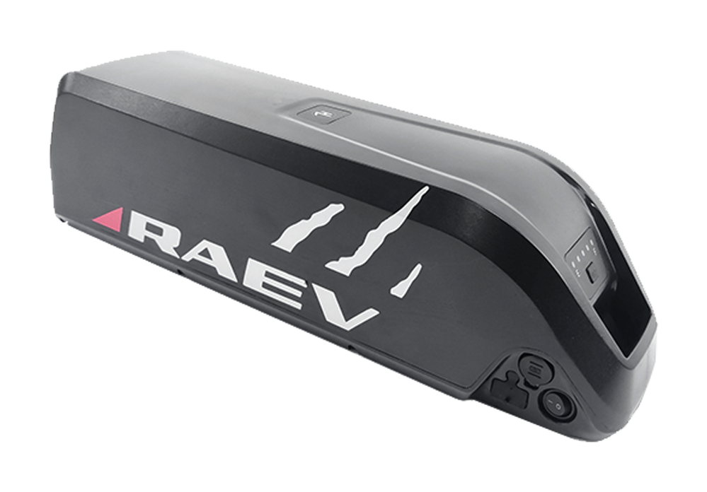 RAEV 48V 13Ah Battery