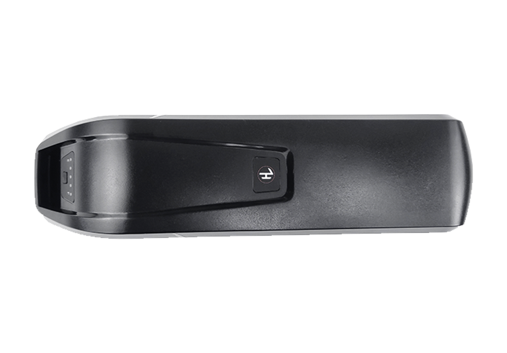 RAEV 48V 13Ah Battery