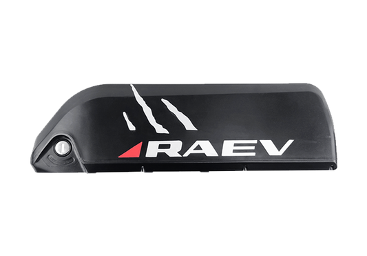 RAEV 48V 13Ah Battery