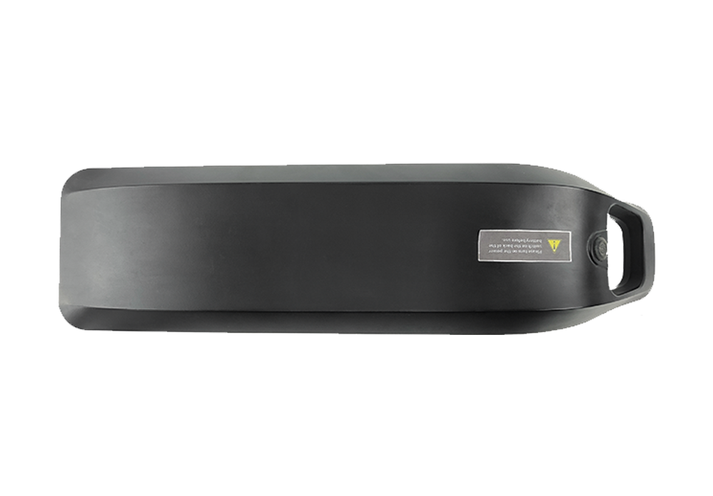 RAEV 48V8Ah Battery