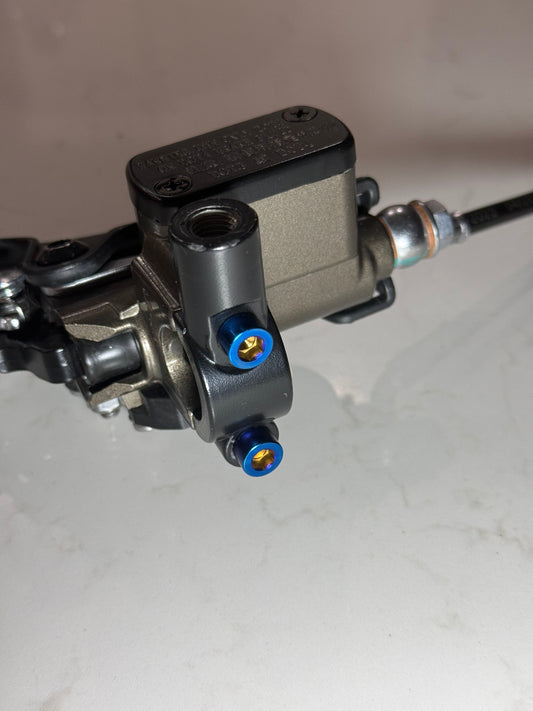 Ultra Bee Brake Titanium Bolts
