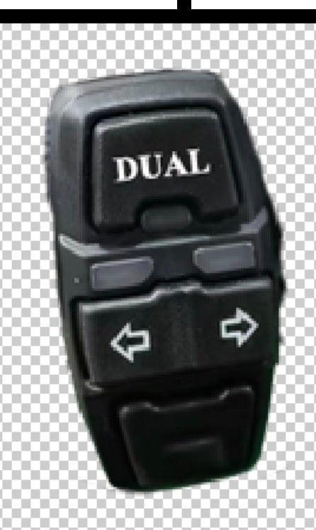 AR 9,10 scooter dual switch
