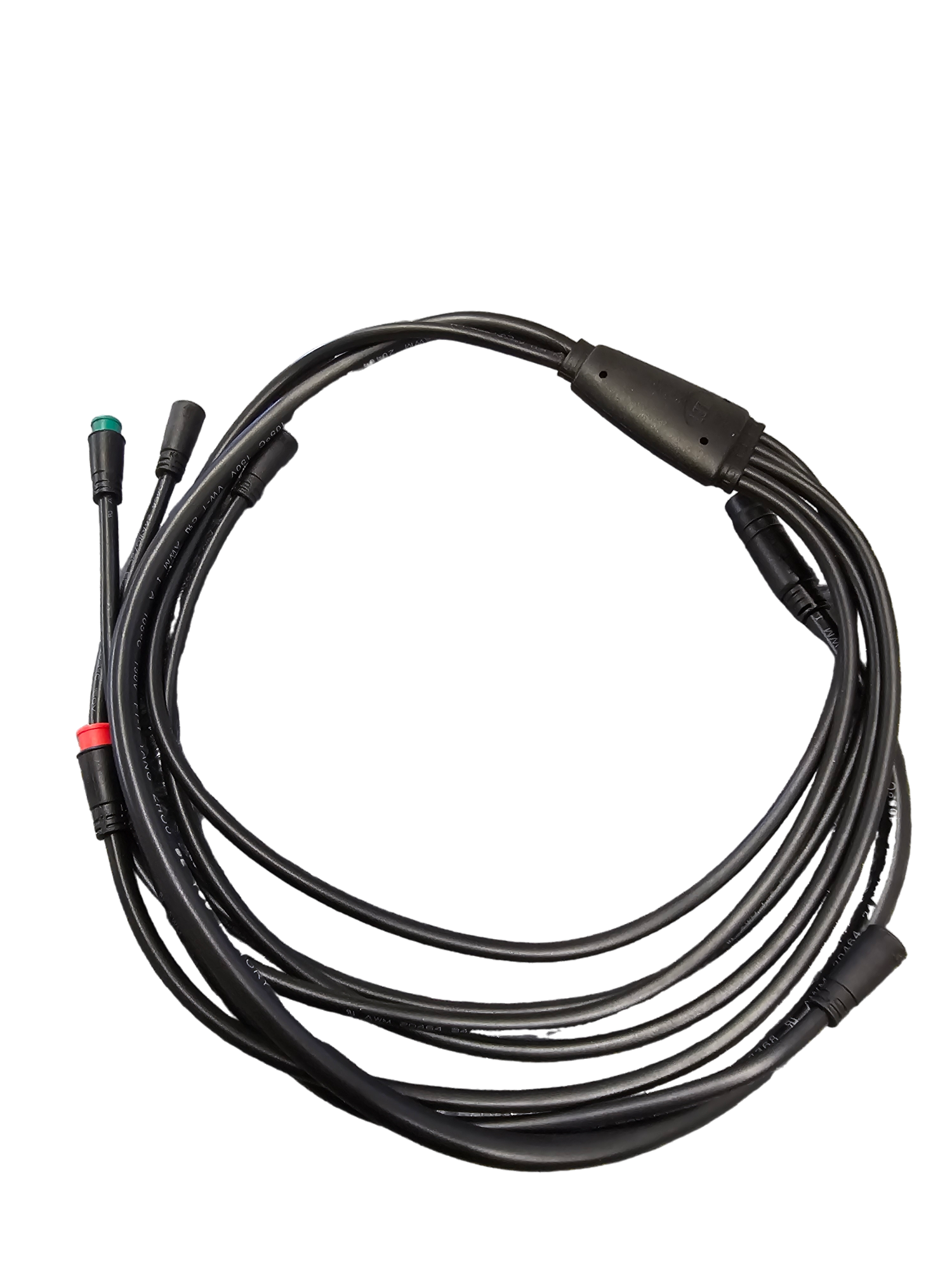 RAEV Wiring Harness