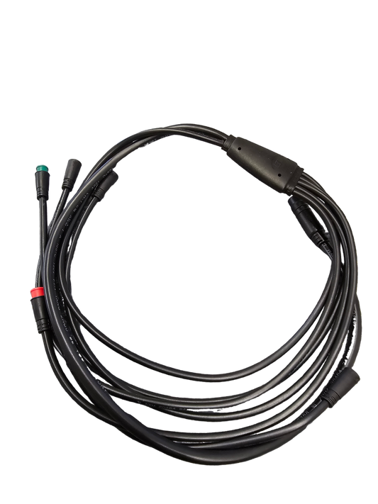 RAEV Wiring Harness