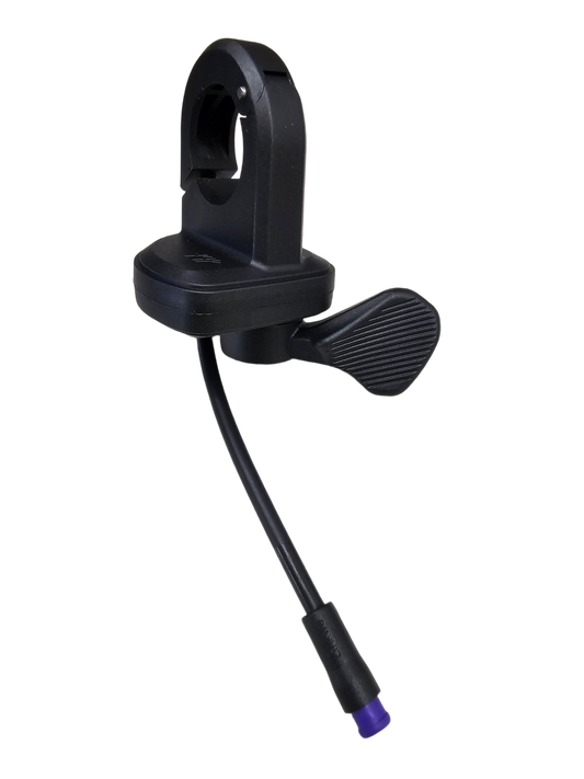 Inmotion RS Throttle