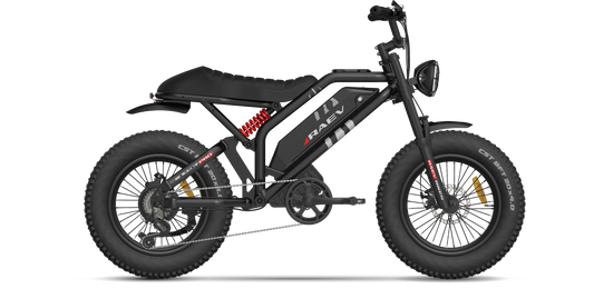 RAEV Bullet Pro E-Bike