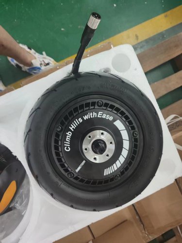 Inmotion RS Motor Assembly